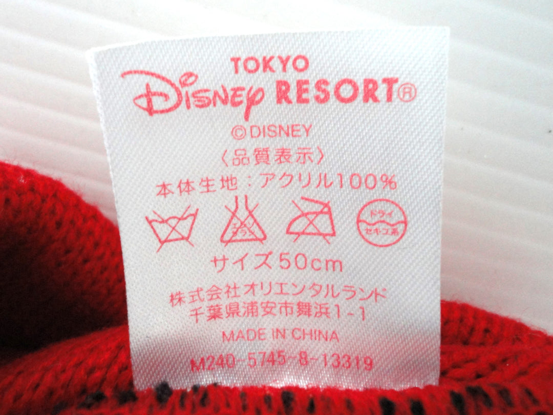 【小物/雑貨】 TOKYO DISNEY RESORT　ニットキャップ/ビーニー　帽子