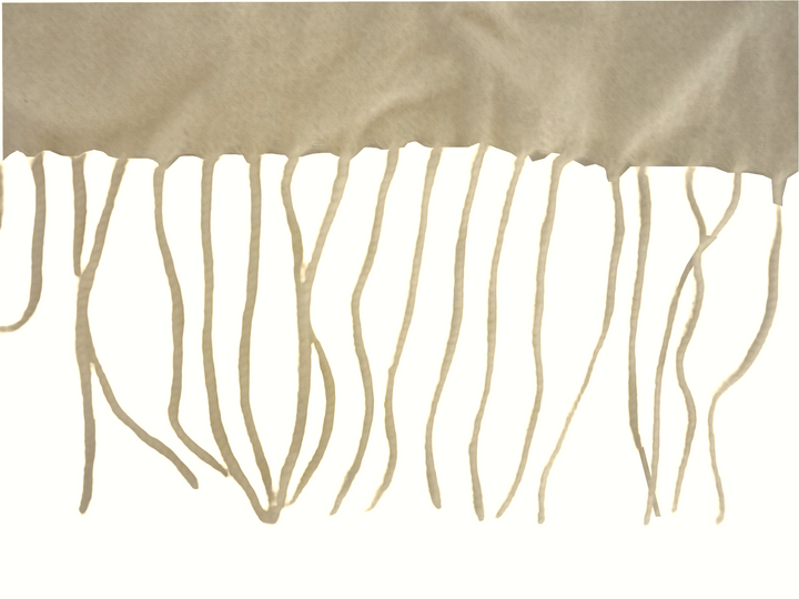 【小物/雑貨】　kate spade　マフラー　ファッション小物