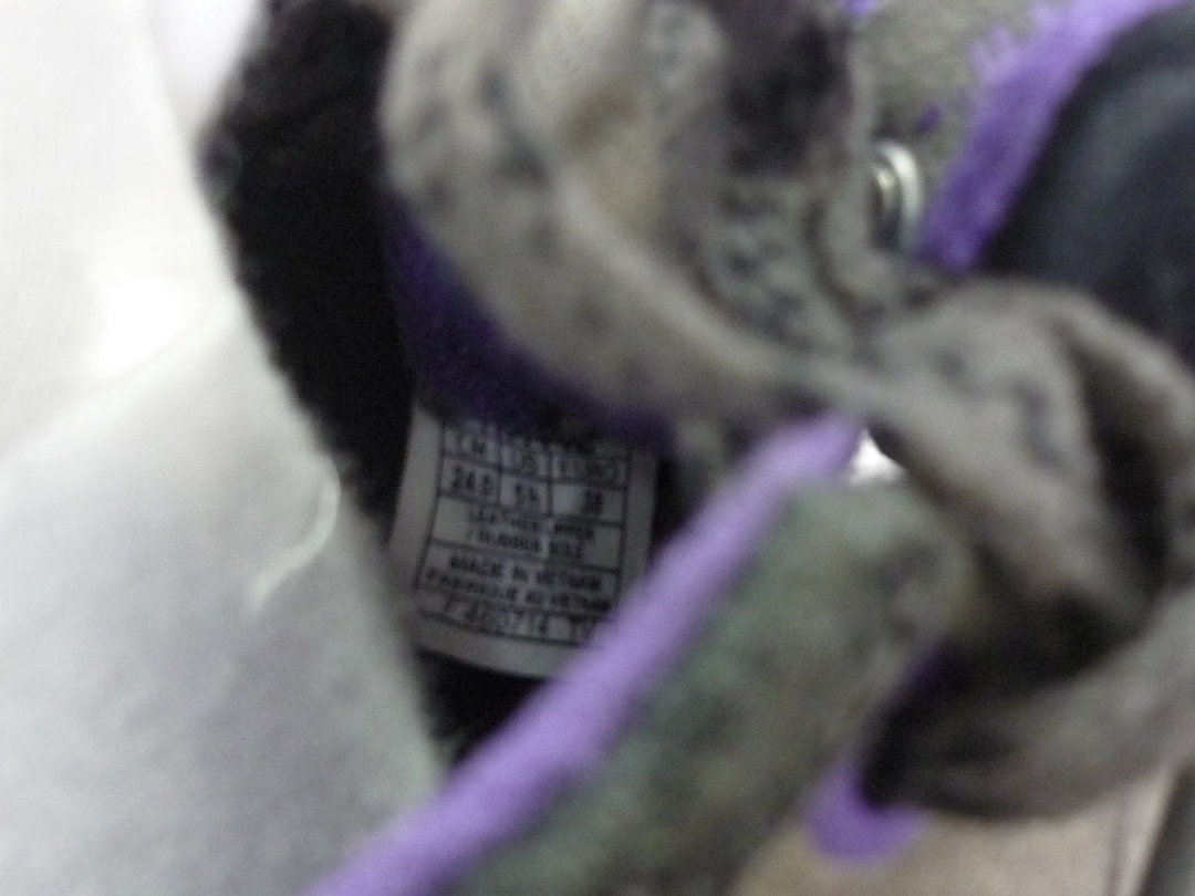 【小物/雑貨】 Onitsuka Tiger　スニーカー　シューズ