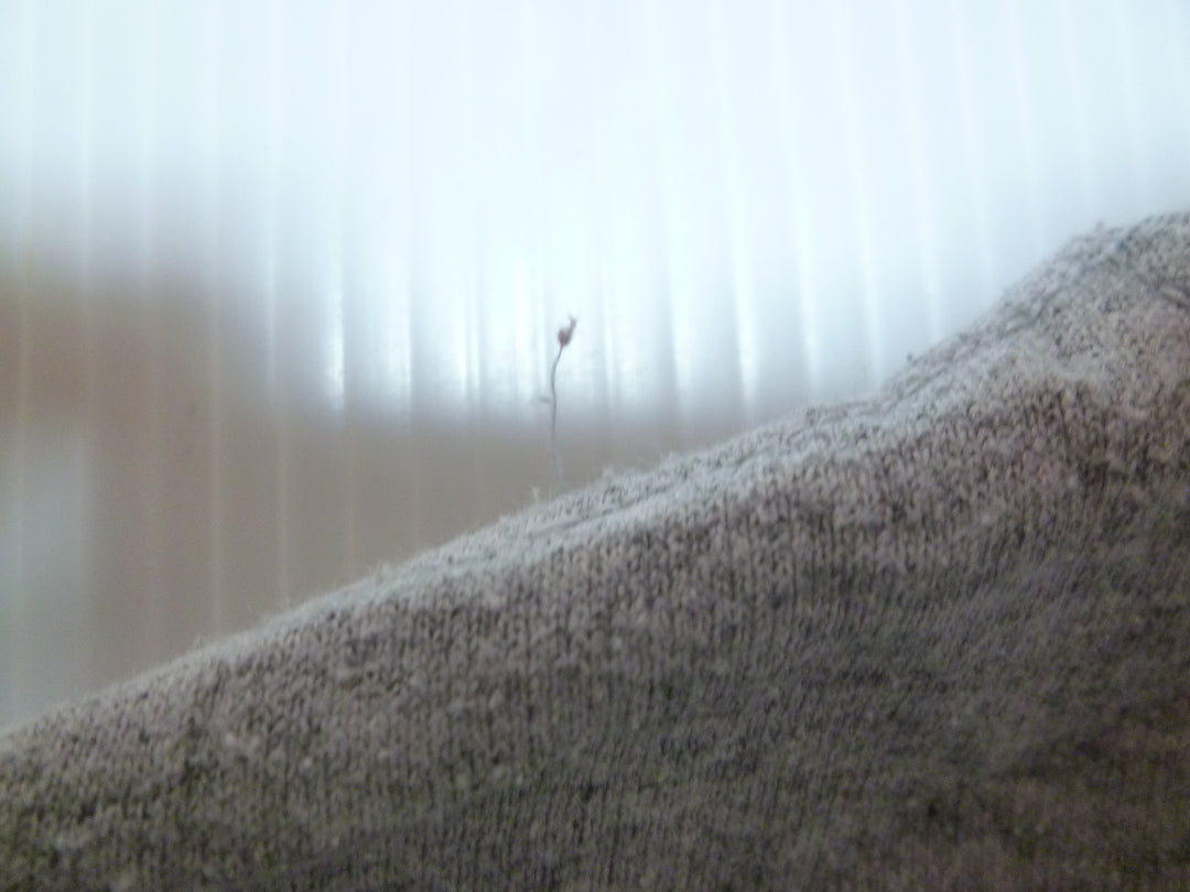 【激安古着】 GILDAN　スウェットorトレーナー　トップス