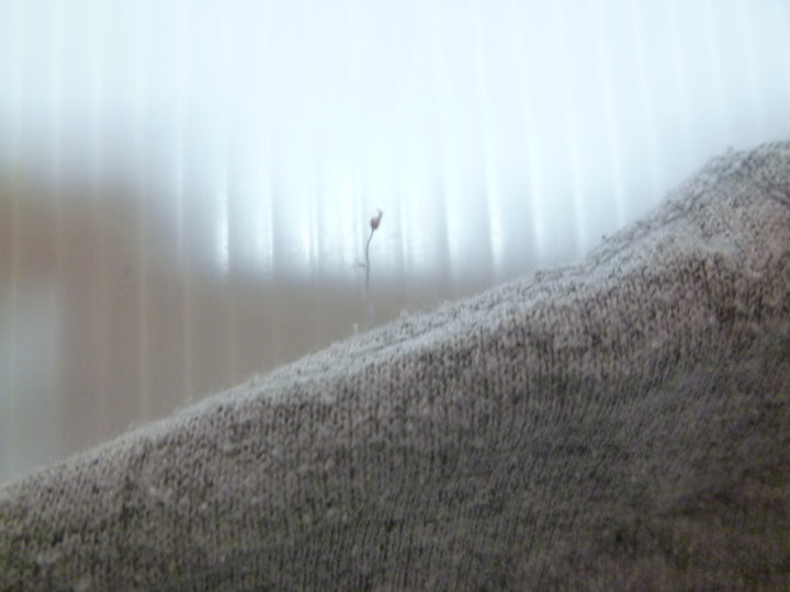 【激安古着】 GILDAN　スウェットorトレーナー　トップス